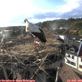 18_35-nest.jpg