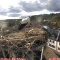 18_50-nest.jpg