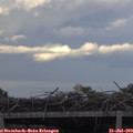 19_10-mast.jpg