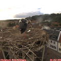 19_35-nest.jpg