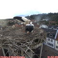 19_40-nest.jpg