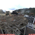 19_50-nest.jpg