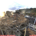 20_00-nest.jpg