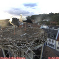 20_10-nest.jpg
