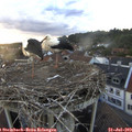 20_15-nest.jpg