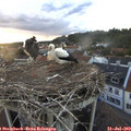 20_20-nest.jpg