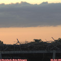 05_50-mast.jpg