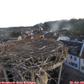 05_55-nest.jpg