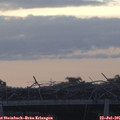 06_00-mast.jpg