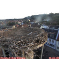 06_00-nest.jpg
