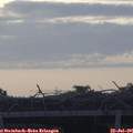 06_05-mast.jpg