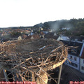 06_05-nest.jpg