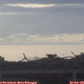 06_10-mast.jpg