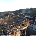 06_10-nest.jpg