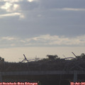 06_15-mast.jpg