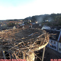 06_15-nest.jpg