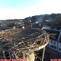 06_20-nest.jpg