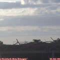06_25-mast.jpg