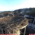 06_25-nest.jpg