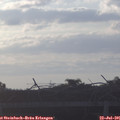 06_30-mast.jpg