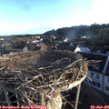 06_30-nest.jpg