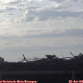 06_35-mast.jpg