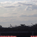 06_40-mast.jpg