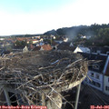 06_40-nest.jpg