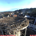 06_45-nest.jpg