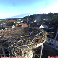 06_50-nest.jpg