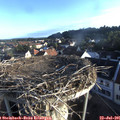 06_55-nest.jpg