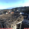 07_00-nest.jpg