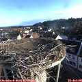 07_05-nest.jpg