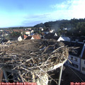 07_15-nest.jpg