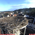 07_20-nest.jpg