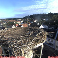07_25-nest.jpg