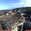 07_30-nest.jpg