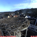 07_35-nest.jpg