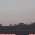 07_45-mast.jpg