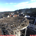 07_45-nest.jpg