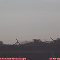 07_50-mast.jpg