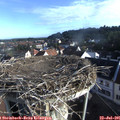 07_50-nest.jpg