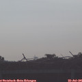 07_55-mast.jpg