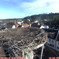 07_55-nest.jpg