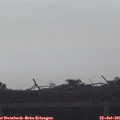 08_00-mast.jpg