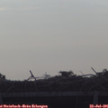 08_05-mast.jpg