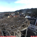 08_05-nest.jpg