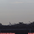08_10-mast.jpg