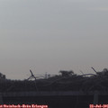 08_15-mast.jpg