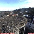 08_15-nest.jpg